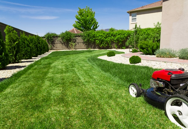 Lawn mower beside a neatly maintained garden lawn