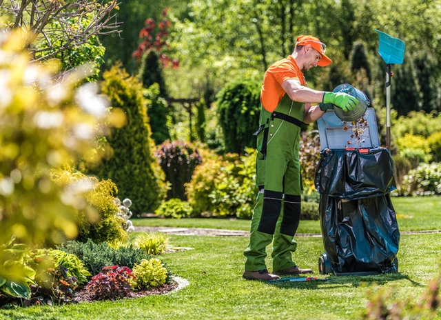Gardener collecting yard debris into a refuse bag